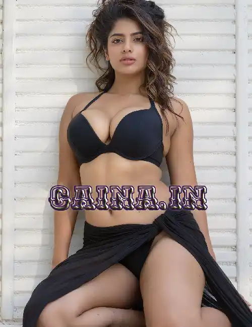 Ludhiana escorts